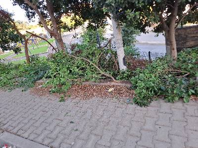 نفايات متوسطة الحجم